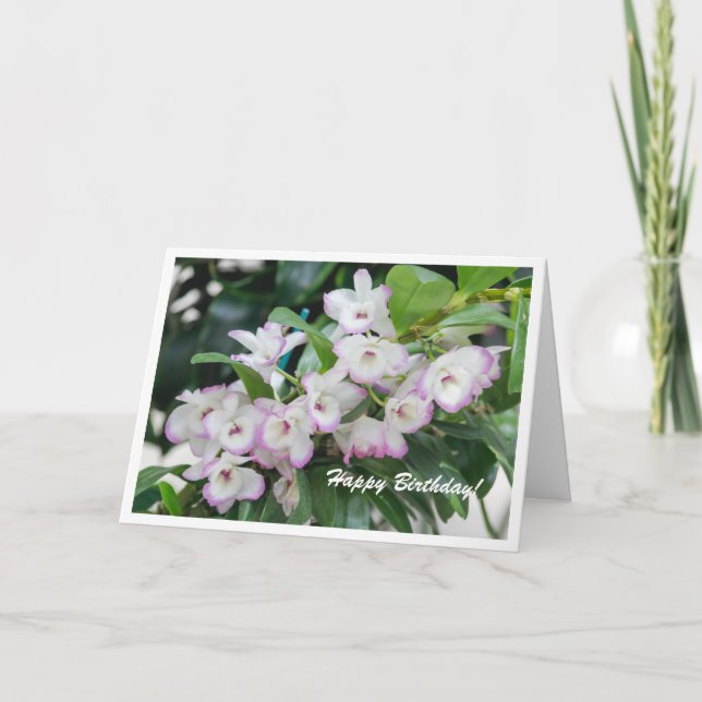 Cartão de Aniversário para Orquídeas (Frente)