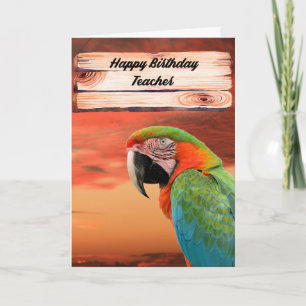 Cartão de aniversário para Professores do sexo mas