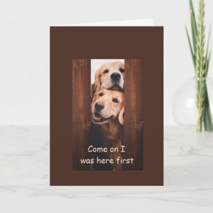 Cartão de Aniversário para Retriever de ouro