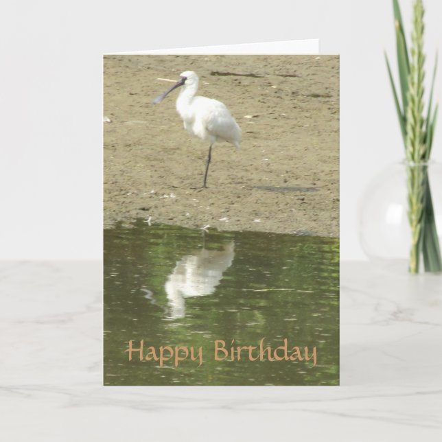 Cartão de Aniversário para Spoonbill (Frente)