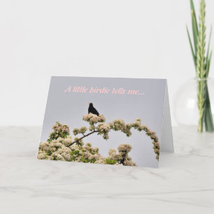 Cartão de Aniversário: Pássaro Negro