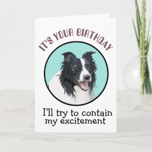 Cartão De Aniversário Personalizado Da Sua Collie