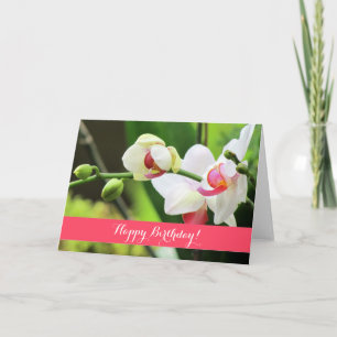 Cartão de aniversário personalizado das orquíde