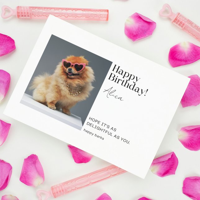 Cartão de Aniversário Personalizado Pomeraniano De (Birthday Depot Party Supplies -
Delightful Pomeranian Custom Folded Birthday Card Downloadable)