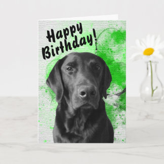 Cartão de aniversário personalizável do laboratóri