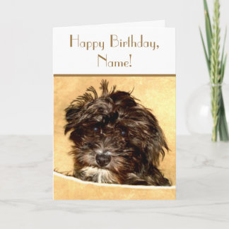 Cartão de Aniversário Personalizável para Schnoodl