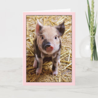 Cartão de Aniversário Pinto-Cor-de-Rosa-Bonito