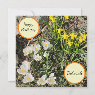 Cartão de Aniversário Plano Daffodils & Crocus