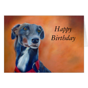 Cartão de aniversário preto do galgo (a396)