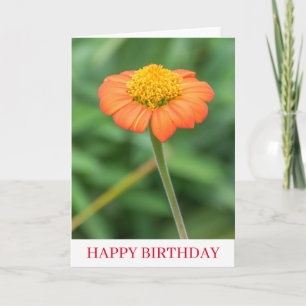 Cartão de aniversário próximo da margarida lara