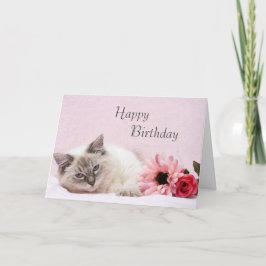 Cartão de Aniversário Ragdoll