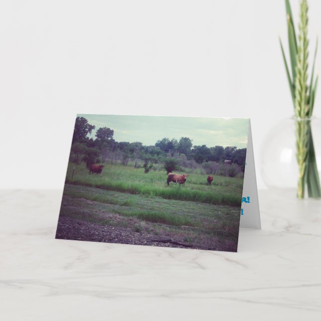 Cartão de Aniversário "Rebanho de Vacas" (Frente)