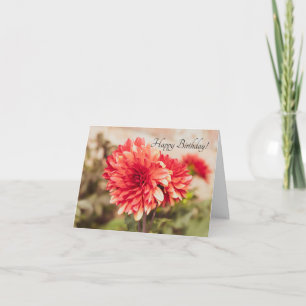 Cartão de Aniversário Red Dahlias