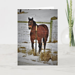 Cartão de Aniversário "Ride Away"