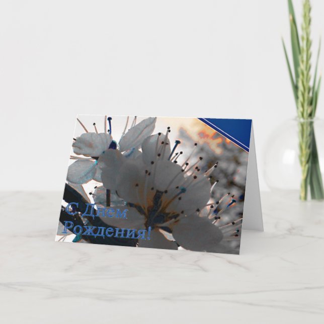 Cartão de aniversário russo com flores de cerejeir (Frente)