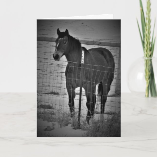 Cartão de Aniversário "Suba no Seu Cavalo" (Frente)