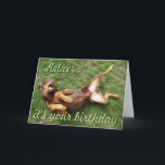 Cartão de aniversário sunbathing engraçado do cão<br><div class="desc">Cartão de aniversário de relaxamento do doberman vermelho engraçado. O texto pode ser personalizado.</div>