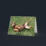 Cartão de aniversário sunbathing engraçado do cão<br><div class="desc">Cartão de aniversário de relaxamento do doberman vermelho engraçado. O texto pode ser personalizado.</div>