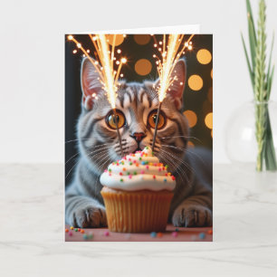 Cartão de Aniversário Tabby Sparkler