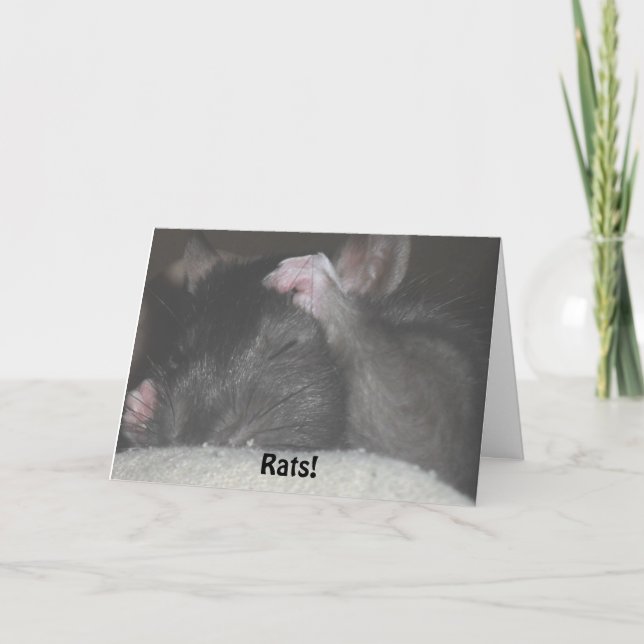 Cartão de aniversário tardivo (Frente)