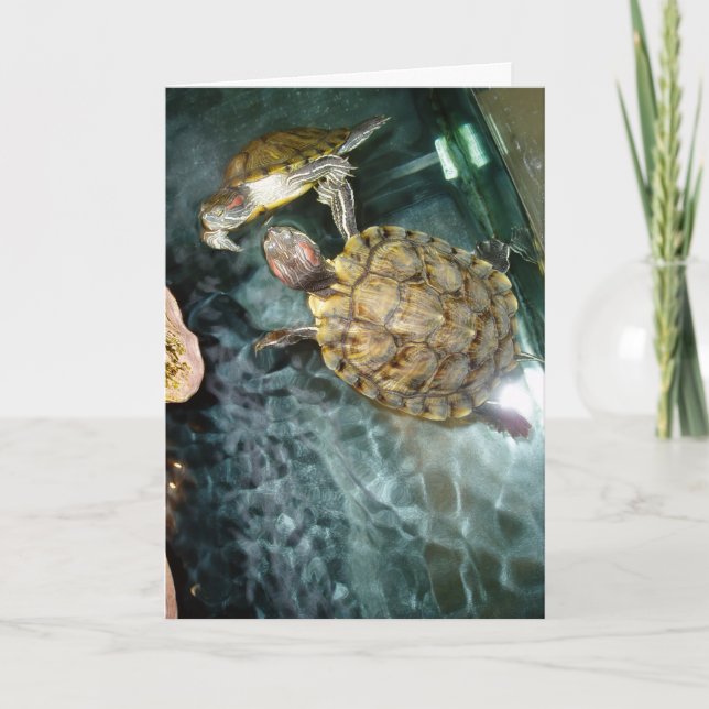 Cartão de Aniversário "Tartarugas Dançantes" (Frente)