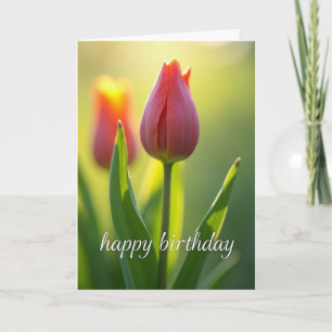 Cartão de Aniversário Tulipa Radiante