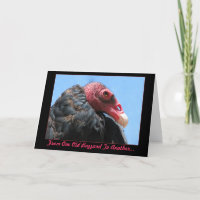 Cartão de aniversário velho do Buzzard