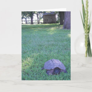 Cartão de aniversário "Village Snapshot Turtle"