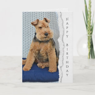 Cartão de aniversário Welsh Terrier