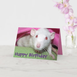 Cartão de aniversário White Dumbo