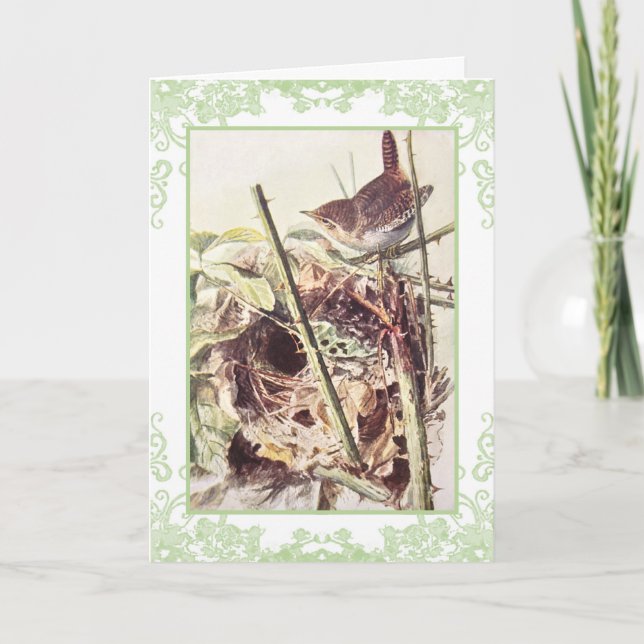 Cartão de aniversário Wren vintage (Frente)