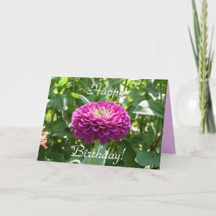 Cartão de Aniversário Zinnia
