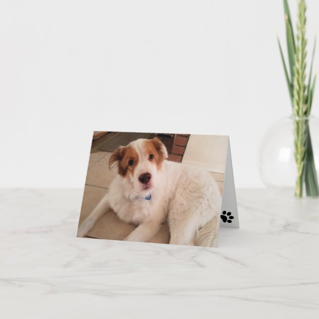 Cartão de anotação Cachorro no vazio com pegadas (Frente)