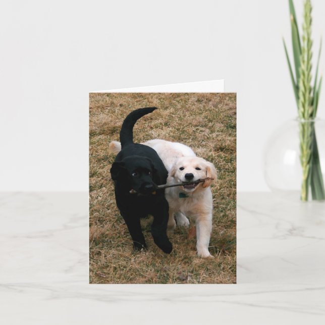 Cartão de anotação de cachorros preto e branco (Frente)