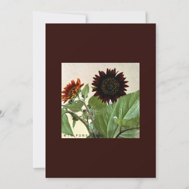 Cartão de anotação de Girassol pequeno, manuscrito (Frente)