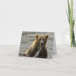 Cartão de anotação de pesca do urso pardo