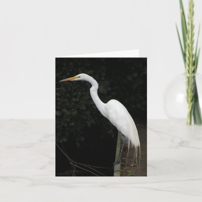 Cartão de anotação Egret (Frente)