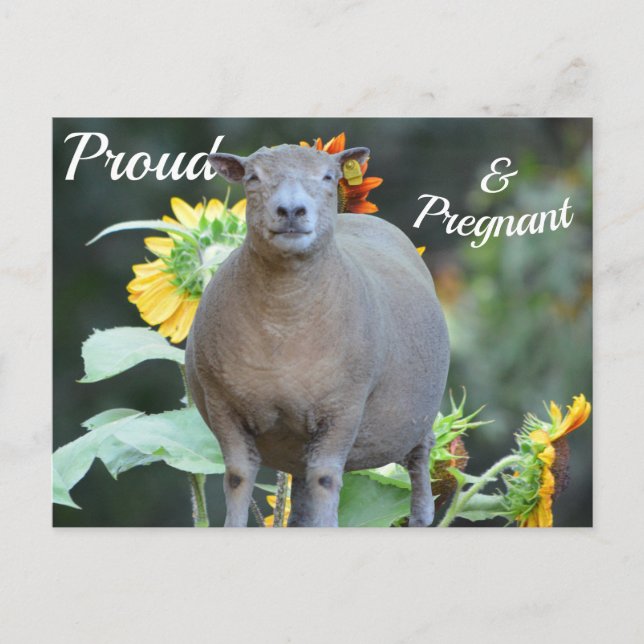 Cartão de Anúncio de Gravidez Aconchegante (Frente)