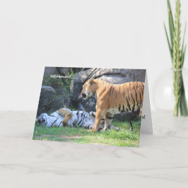 Cartão de aposentadoria engraçado, tigre dormindo