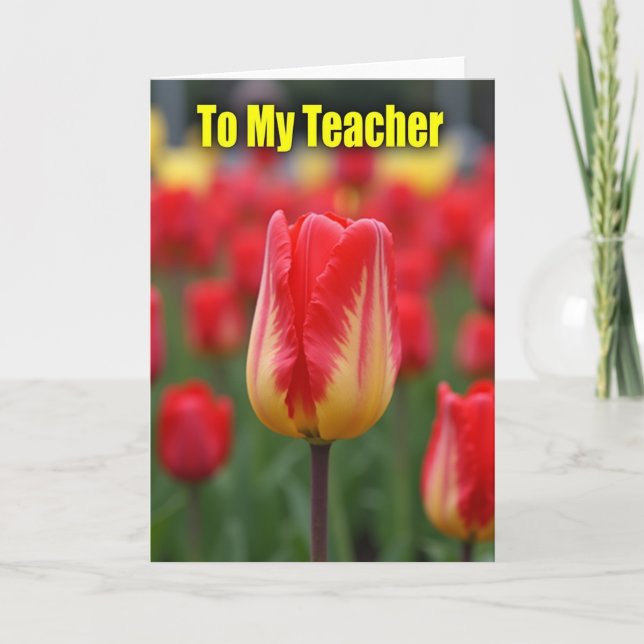 Cartão de Apreciação para Professor Tulipa (Frente)