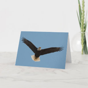 Cartão de Arte Balde Eagle com Quadro de Arranque