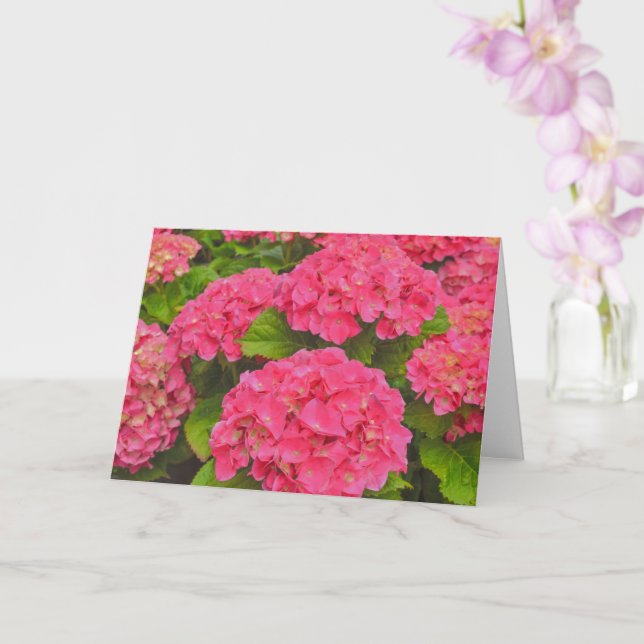 Cartão de Arte de Flor de Jardim Hortênsia Rosa (Orquídea)