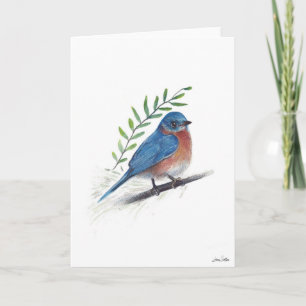 Cartão de Arte de Pássaro Bluebird