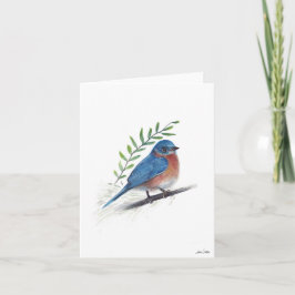 Cartão de Arte de Pássaro Bluebird