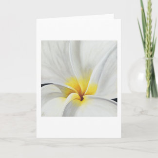 Cartão de Arte Frangipani Branco