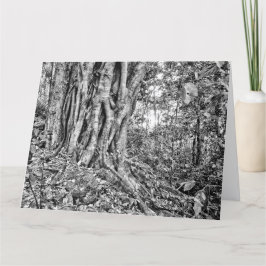 Cartão de Arte Gigante da Floresta Tropical Austrá