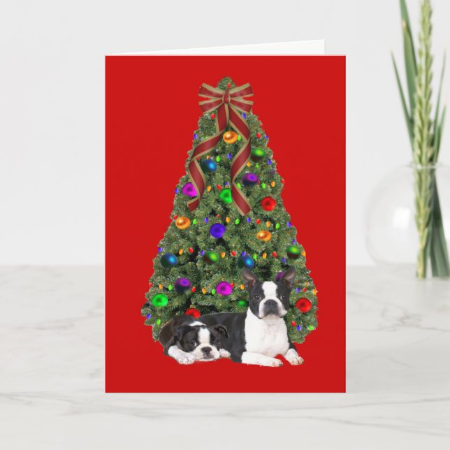 Cartão de Árvore de Natal de Boston Terrier (Frente)