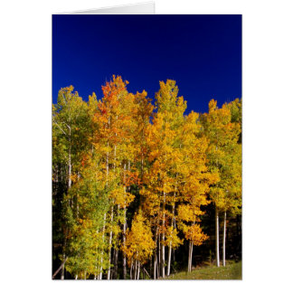 Cartão de Aspen