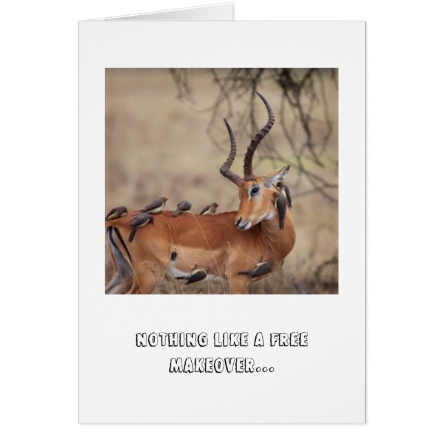 Cartão de assistência (Frente)