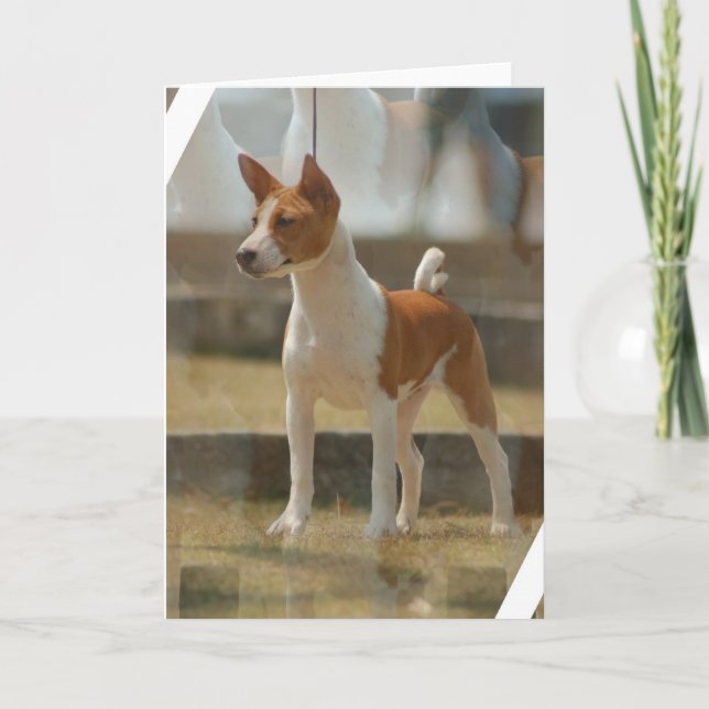 Cartão de Basenji (Frente)